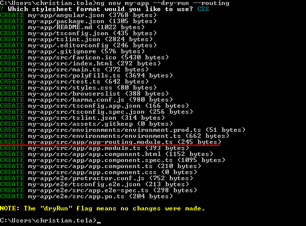 ng new my-app --dry-run --routing
